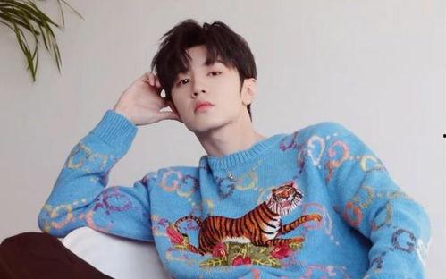 娱乐爆料陈哲远,揭秘明星背后的故事