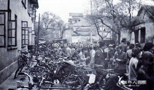 桂林最新新闻爆料视频播放,视频揭秘神秘事件！  第1张