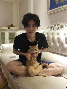 鹿晗网红爆料事件视频,揭秘娱乐圈背后真相 第2张 鹿晗网红爆料事件视频,揭秘娱乐圈背后真相 第2张