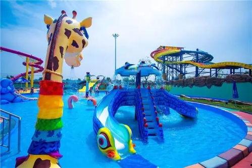 水上公园爆料视频下载免费,免费下载爆料视频背后的精彩瞬间